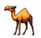 Ai generated desert camel mascot illustration