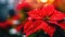 AI Generated Festive Flora Close-Up of Red Poinsettia Flower in Bloom