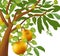 An AI-generated fruit tree