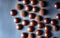 Ai Generated, Generative Ai, high angle view various kind of colorful chocolate cacao candies, mixed flavor, bitter and milk and