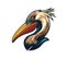 AI generated great white pelican bird head mascot