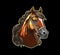 Ai generated horse, mustang, stallion mascot