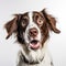AI generated illustration of an adorable brown and white pet canine standing confidently