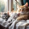 AI generated illustration of adorable cats snuggling on a cozy bed, surrounded by soft blankets