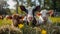 AI generated illustration of adorable farm animals relaxing side by side on the lush green pasture