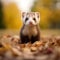 AI generated illustration of an adorable ferret amid a picturesque autumn landscape