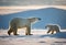 AI generated illustration of an adorable polar bear and cub standing atop a pristine blanket of snow