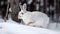 AI generated illustration of and adorable rabbit perched on a snow-covered ground