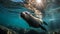 AI generated illustration of an adorable seal swimming beneath the sun-dappled surface of the sea