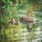 AI generated illustration of an adult duck and her ducklings swimming in a tranquil lake