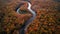 AI generated illustration of an aerial shot of a wooded river, showcasing the colors of the foliage