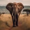 AI-generated illustration of an African elephant striding through a field of tall grass.