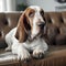 AI generated illustration of a basset hound dog resting comfortably on a plush couch