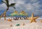 AI generated illustration of am beachscape featuring starfish and seashells scattered in the sand