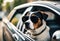 AI generated illustration of a beagle with sunglasses looking out of a car window