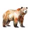 AI generated illustration of a beautiful brown bear on a white background