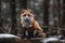 AI generated illustration of A beautiful red fox is perched atop a snowy log