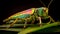 AI-generated illustration of a bejeweled grasshopper placed on a green leaf