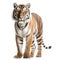 Ai generated illustration of a Bengal tiger against a white background