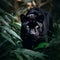 AI generated illustration of A black leopard stands in a lush, vibrant jungle