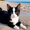 AI generated illustration of A  black and white cat lounging on a sandy beach