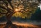 AI generated illustration of a bright sunrise illuminating the branches of a tall tree