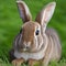 AI generated illustration of A brown rabbit lounging in the lush grass of a vibrant green meadow