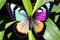 AI generated illustration of a butterfly perched on a green leaf