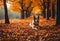 AI generated illustration of a canine companion basking in the golden hues of an autumnal woodland