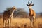 AI generated illustration of a cheetah and a gazelle in a plain, the concept of wildlife hunting