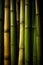 AI generated illustration of a close-up of a bundle of bamboo with vibrant green stems