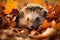 AI generated illustration of a close-up of a hedgehog peeking out from a pile of autumnal leaves