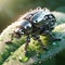 AI generated illustration of a close-up of a metallic robot beetle atop a lush green leaf