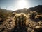 AI generated illustration of a close-up view of a cactus plant in the desert, illuminated by the sun