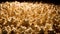 AI generated illustration of a closeup of a pile of popcorn