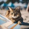 AI generated illustration of a contented tabby cat lounging on a surfboard in the sand