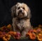 AI generated illustration of a cute Havanese bichon dog surrounded by vibrant flowers