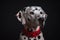 AI generated illustration of a Dalmatian dog gazing off into the distance with bright eyes