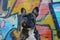 AI-generated illustration of A dog posing in front of a vibrant wall covered with graffiti