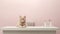 AI generated illustration of a domestic feline sitting atop a countertop in a modern bathroom