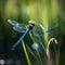 AI generated illustration of a dragonfly on lush green grass with its delicate wings spread out