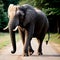 AI generated illustration of an elephant peacefully walking down in a lush and vibrant forest
