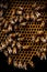 AI generated illustration of expansive view of a beehive surrounded by a swarm of buzzing honeybees