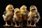 AI generated illustration of a flock of chicks on a black background