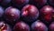 AI generated illustration of fresh plums glistening with water droplets