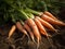 AI generated illustration of freshly-grown organic carrots nestled in the soil