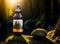 AI generated illustration of a glass bottle of beer illuminated in a tranquil woodland setting