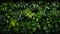 AI generated illustration of a green wall of foliage with lush greenery