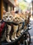 AI generated illustration of a group of adorable domestic cats outdoors on a sunny day