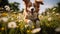 AI generated illustration of a happy, energetic dog sprinting joyfully through a picturesque meadow